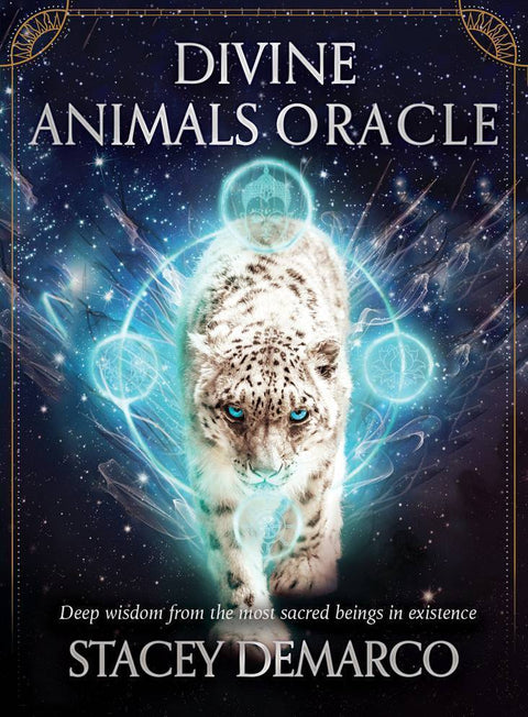 Divine Animals Oracle Cards Deck Rockpool Publishing Stacey Demarco Kinga NEW