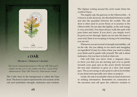 Celtic Spirit Oracle Cards Deck Rockpool Publishing By Nicola Mcintosh NEW