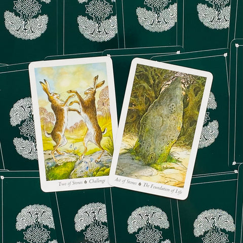 Wildwood Tarot Deck + Storage Bag