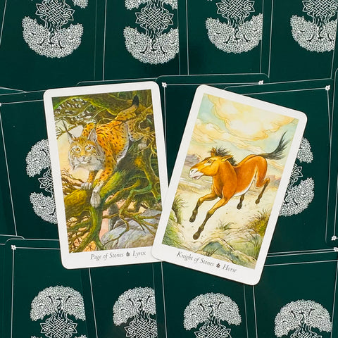 Wildwood Tarot Deck + Storage Bag
