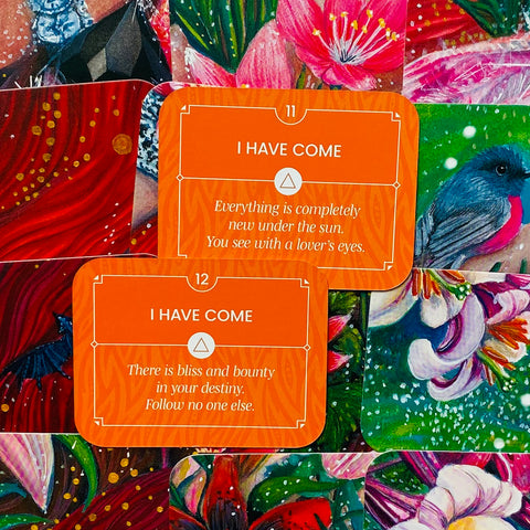 Wild Bohemian Affirmation Cards Deck Fire Rockpool Akal Pritam Esoteric RP156