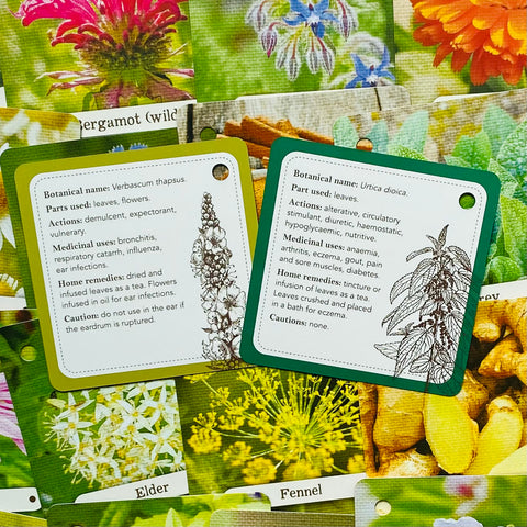 Apothecary Flashcards Deck β Herbal Remedies & Plant Medicine Study Cards