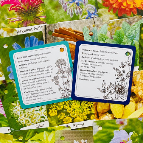 Apothecary Flashcards Deck – Herbal Remedies & Plant Medicine Study Cards