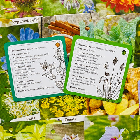 Apothecary Flashcards Deck – Herbal Remedies & Plant Medicine Study Cards