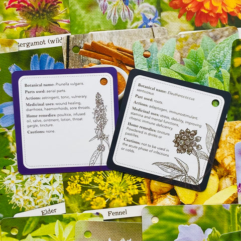 Apothecary Flashcards Deck – Herbal Remedies & Plant Medicine Study Cards
