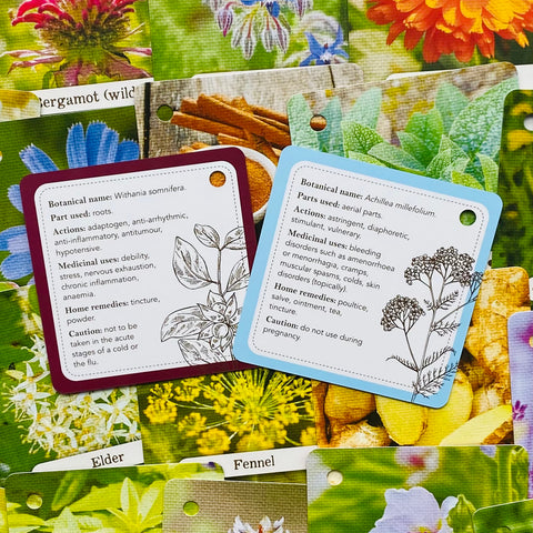 Apothecary Flashcards Deck – Herbal Remedies & Plant Medicine Study Cards