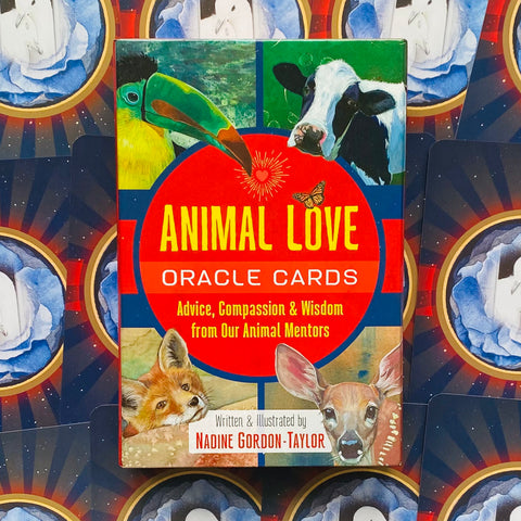 Animal Oracle Cards – Loving Messages for Insight, Comfort & Healing