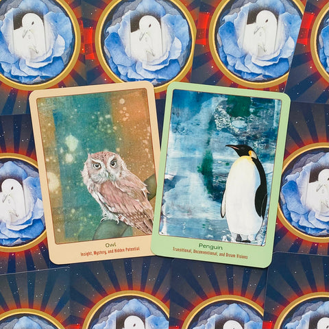 Animal Oracle Cards – Loving Messages for Insight, Comfort & Healing