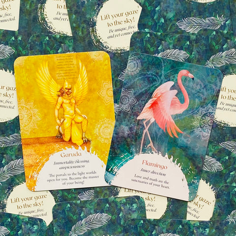 Oracle of the Birds Deck – Spirit Animal Messages, Signs & Inner Guidance