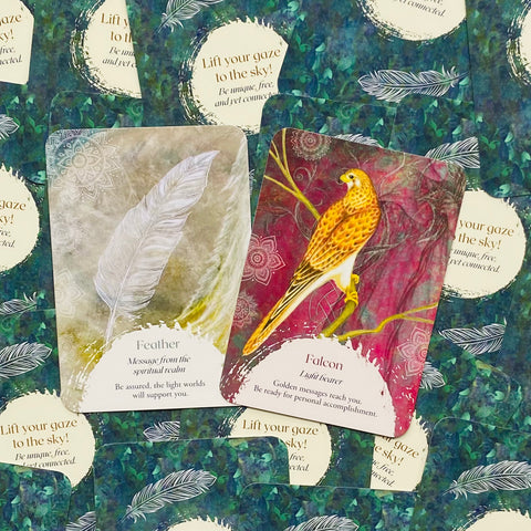 Oracle of the Birds Deck – Spirit Animal Messages, Signs & Inner Guidance