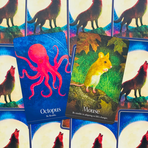 Wild Dreams Animal Oracle – Spirit Animal Cards Deck & Guidebook