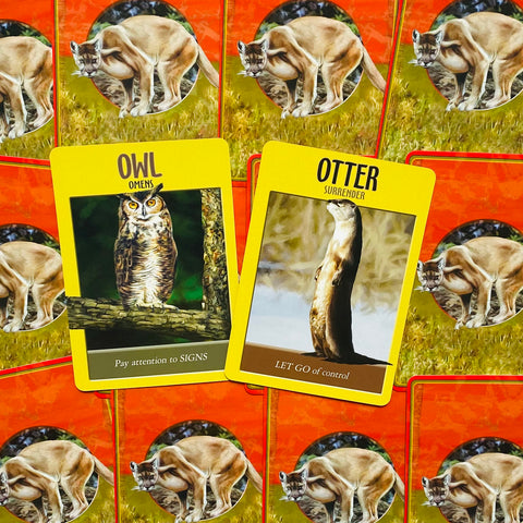 Power Animal Spirit Oracle Cards Deck And Guidebook