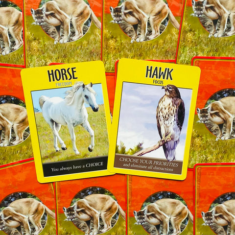 Power Animal Spirit Oracle Cards Deck And Guidebook