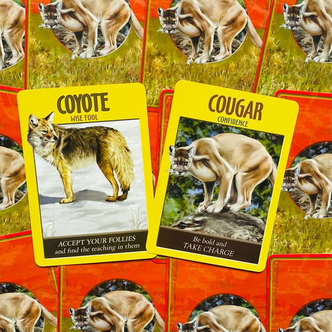 Power Animal Spirit Oracle Cards Deck And Guidebook