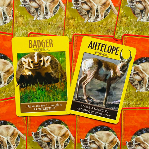 Power Animal Spirit Oracle Cards Deck And Guidebook