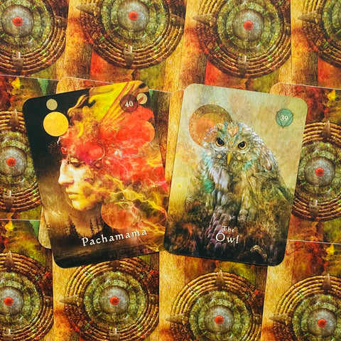 Mystical Shaman Pocket Oracle Cards Deck And Guidebook
