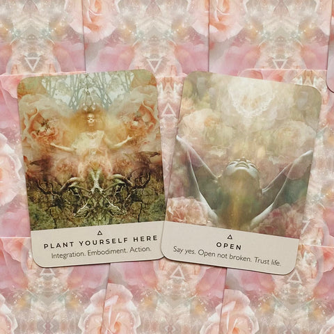 The Rose Pocket Oracle Cards By Hay House