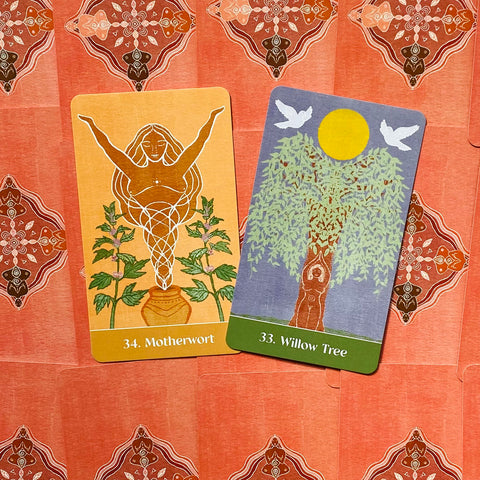The Sacred Cycles Oracle Card Deck & Guidebook Body'S Wisdom