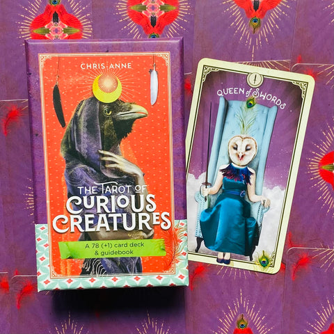 The Tarot Of Curious Creatures Card Deck & Guidebook Chris-Anne