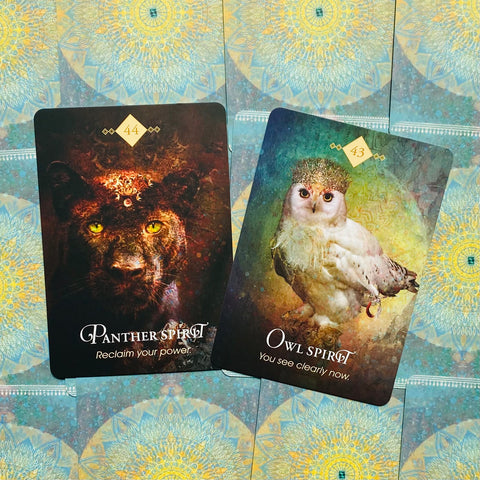 The Spirit Animal Oracle Cards Deck Guidebook Colette Baron-Reid