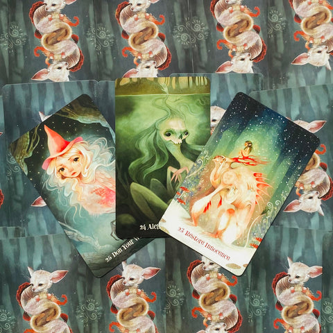 Wisdom Of The Wild Things Oracle Cards Deck & Guidebook Evaboneva