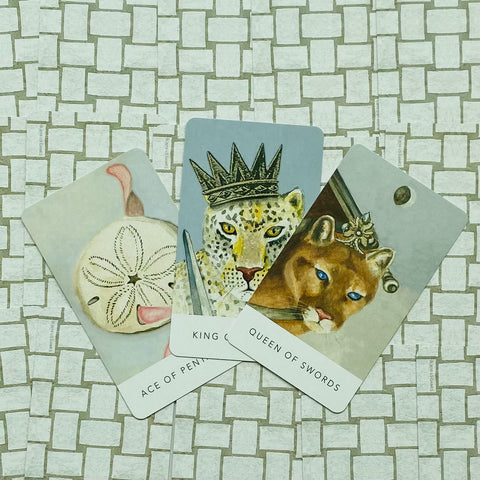 White Sage Tarot Cards Deck By Theresa Hutch US Games Systems