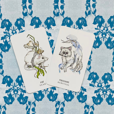 Winterseer Animal Oracle Cards Deck With Guidebook Llewellyn Siolo Thompson Color Cards