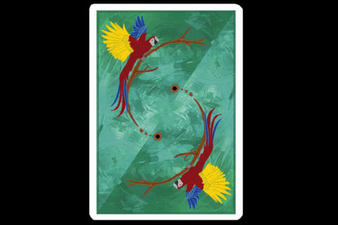Infinity Playing Cards Deck Difatta D3Psy USpcc Magic Tricks Poker Parrot NEW