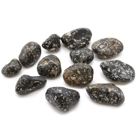 12 Medium African Tumble Stones - Guinea Fowl - Gemstones Ancient Wisdom NEW