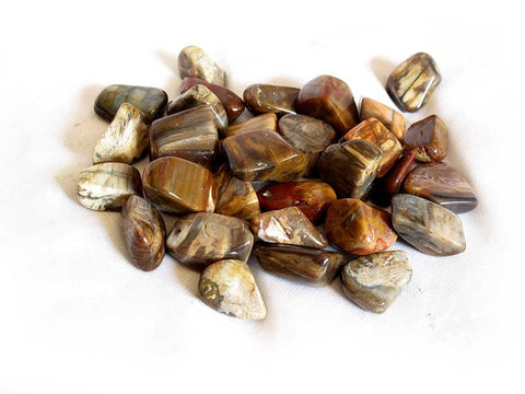 24 Medium Tumble Stones - Petrified Wood M Gemstones Amulet Ancient Wisdom NEW