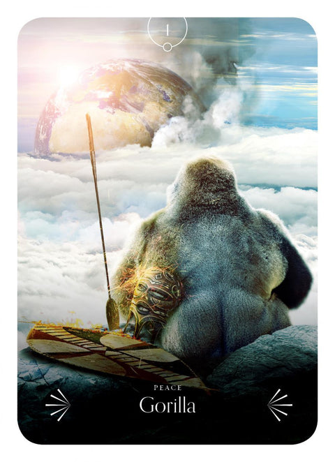 Divine Animals Oracle Cards Deck Rockpool Publishing Stacey Demarco Kinga NEW