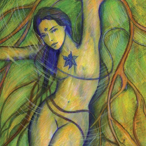 Wisdom Of Gaia Gift Book Earth Mother Blue Angel By Toni Carmine Salerno Wisga