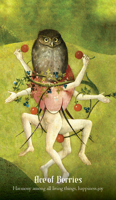 Hieronymus Bosch Tarot Cards Travis Mchenry Deck Shock Captivating Rockpool NEW