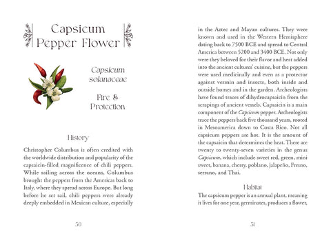 The Flowerwise Oracle Cards Deck Schiffer Publishing