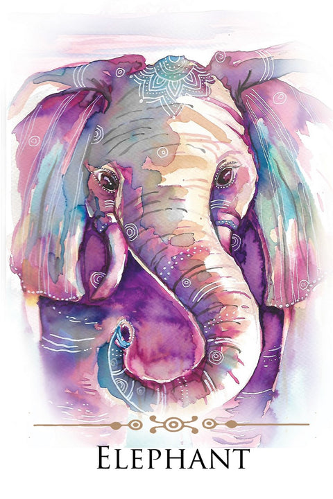 Spirit Animals Message Cards Deck Animal Dreaming Publishing Affirmations NEW