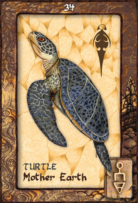 Animal Dreaming Oracle Deck Cards Esoteric Fortune Telling Blue Angel NEW