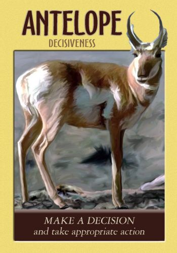 Power Animal Oracle Cards Deck And Guidebook Hay House By Steven D. Farmer NEW