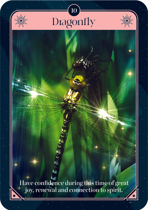 Fortune Oracle Cards Rockpool