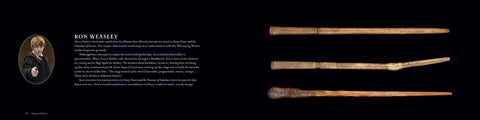 Harry Potter The Wand Collection Insight Editions
