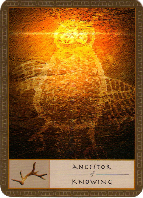 The Shaman’S Oracle Cards Deck Watkins Publishing Esoteric Ancient Wisdom NEW