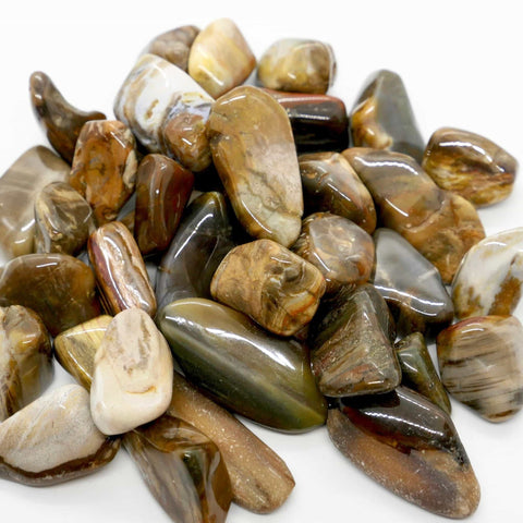 24 Large Tumble Stones - Petrified Wood Gemstones Talisman Ancient Wisdom NEW