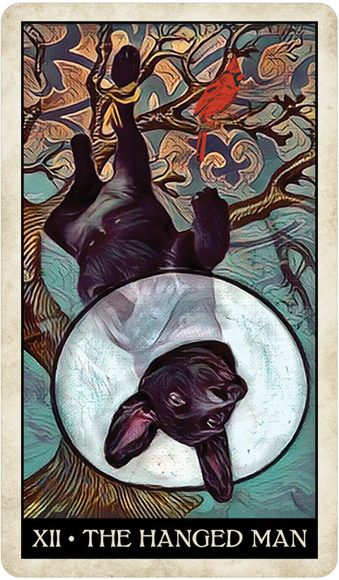 Wise Dog Tarot Cards Deck US Games Systems Mj Cullinane Esoteric 2020 NEW