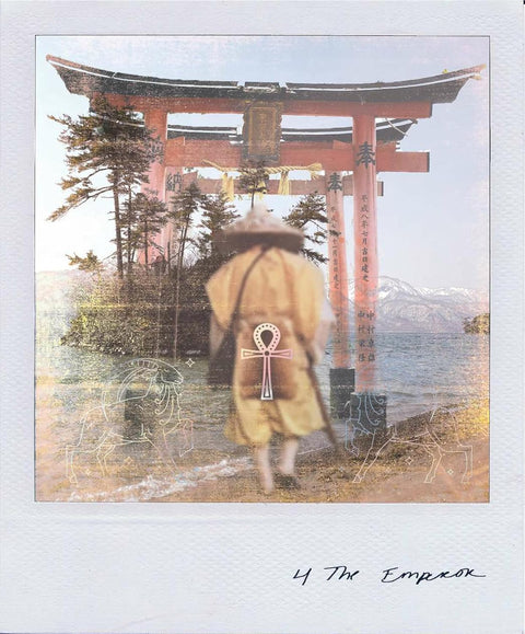 Wild Lands Tarot Cards Deck And Guidebook Sacred Scribe Publishing Ssp004