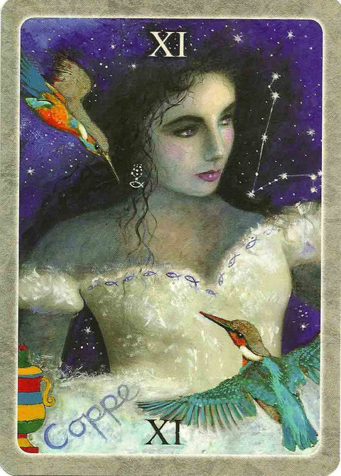 The Secret Language Of Birds Tarot Cards Schiffer Publishing Adele Nozedar NEW