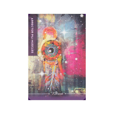 Body Cards Deck Book Set Esoteric Courtney Putnam Schiffer Publishing Sp065