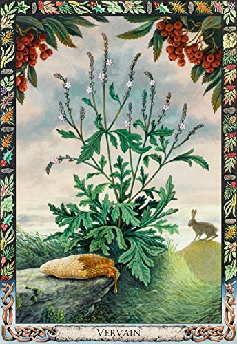 The Druid Plant Oracle Cards & Guidebook Welbeck Publishing