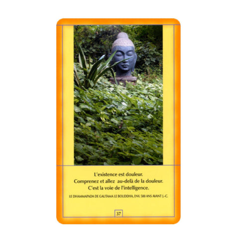 Osho Decouvrez Buddha Cards Deck French Edition Meditation Buddha Agm