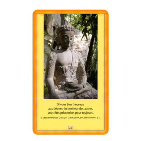 Osho Decouvrez Buddha Cards Deck French Edition Meditation Buddha Agm