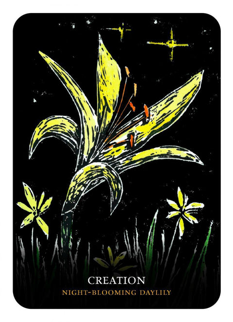 Flowers Of The Night Oracle Cheralyn Darcey Rockpool Publishing Inspiration NEW