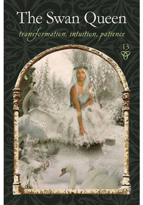 Wisdom Of The Hidden Realms Oracle Cards Deck And Guidebook Divine